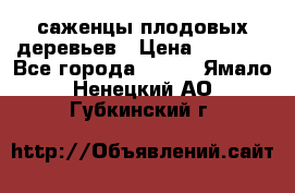 саженцы плодовых деревьев › Цена ­ 6 080 - Все города  »    . Ямало-Ненецкий АО,Губкинский г.